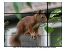 Puzzle-Eichhörnchen-1.pdf